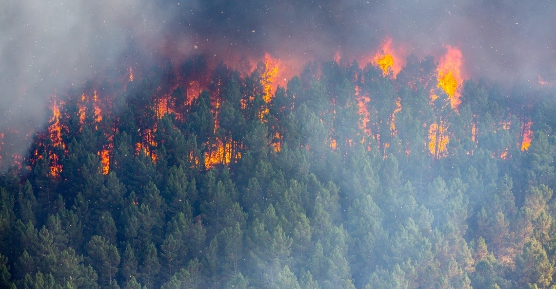 Drones helpen bij blussen bosbranden in Tsjernobyl
